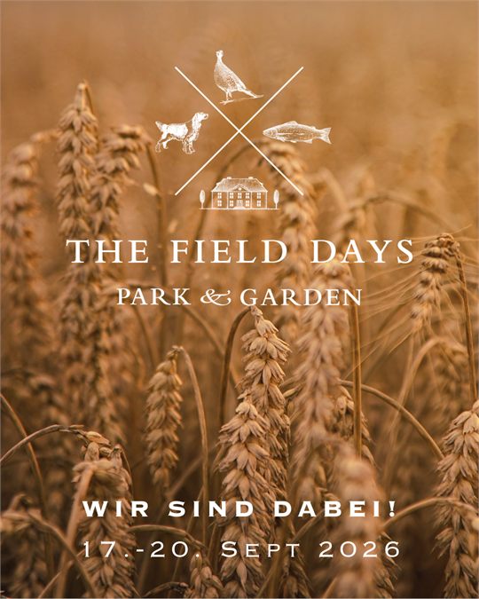 The Field Days 2026 — Motiv Kornfeld im Abendlicht mit Signet und Datum